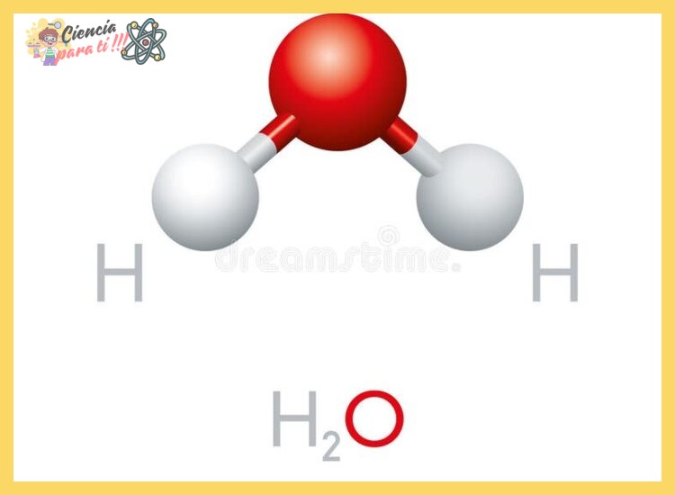 1. La Fórmula Química y la Estructura Molecular del Agua