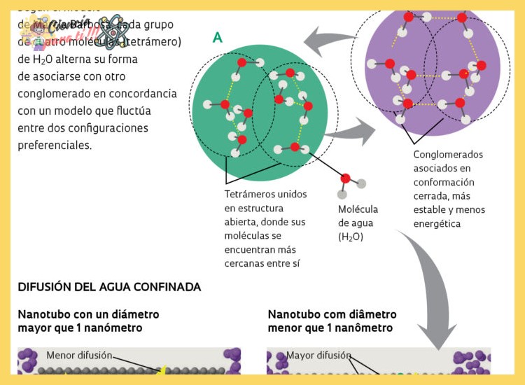 3. La Densidad y su Comportamiento Anómalo