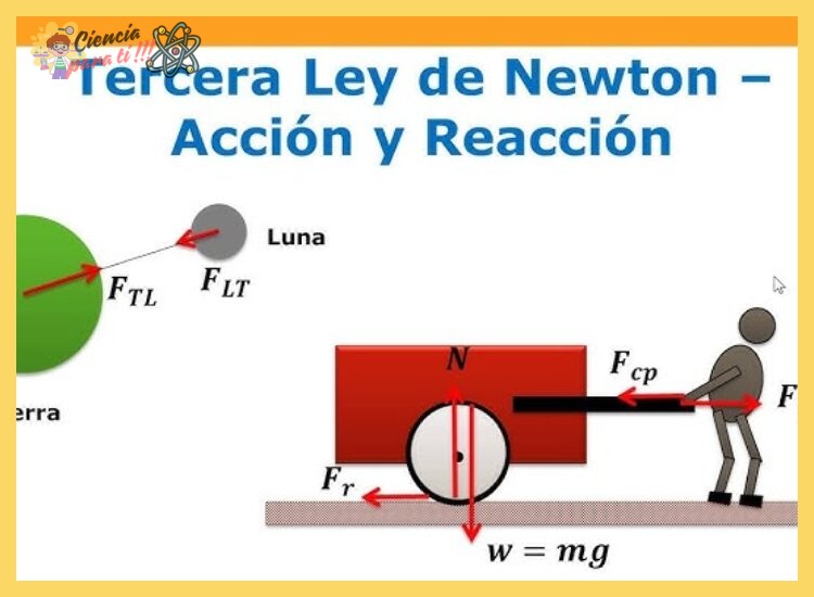 3. La Tercera Ley: La Ley de Acción y Reacción