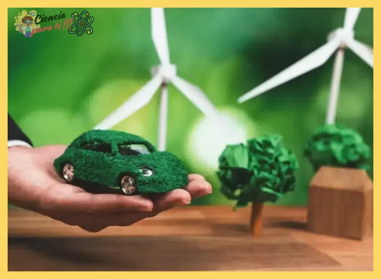 4. Impacto ambiental y sostenibilidad real