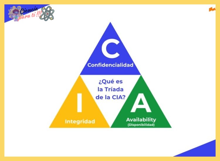 5. Controla y comprende los permisos de las aplicaciones