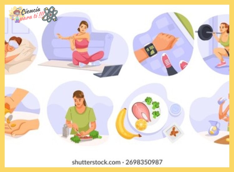 5. Hábitos alimentarios y estilo de vida antes de dormir