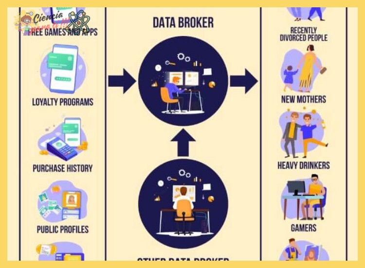 ¿Cuáles son los principios fundamentales para proteger los datos personales en el entorno digital?