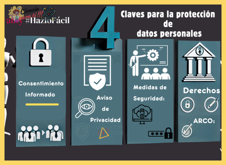 ¿En qué consisten los cuatro pilares o tipos de seguridad esenciales para la protección de datos en línea?