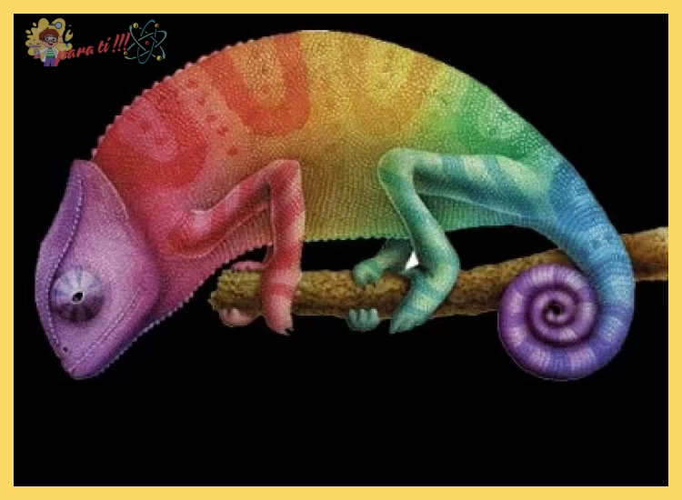 ¿Es cierto que los camaleones cambian de color para camuflarse con el entorno?