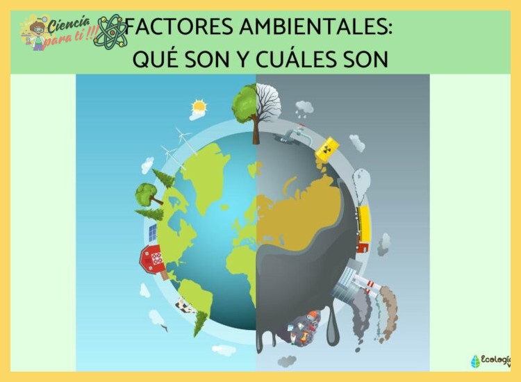Factores ambientales: el papel crucial de la humedad