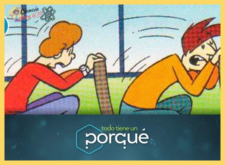 ¿Por qué mi cuerpo se va hacia adelante cuando el auto frena bruscamente?