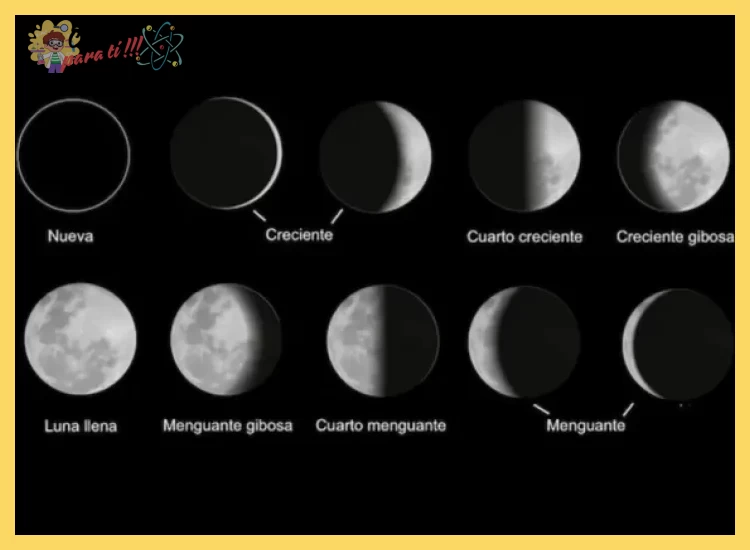 ¿Qué causa las fases de la Luna?