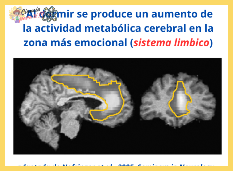 ¿Qué causa las pesadillas de forma general?
