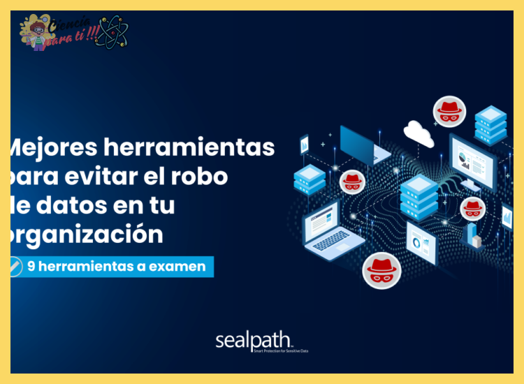 ¿Qué estrategias debe seguir una persona para prevenir el robo o la suplantación de sus datos personales en internet?