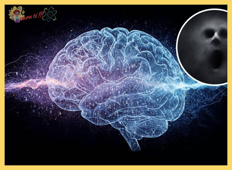 Qué procesos cerebrales y mecanismos neurológicos se activan durante una pesadilla.