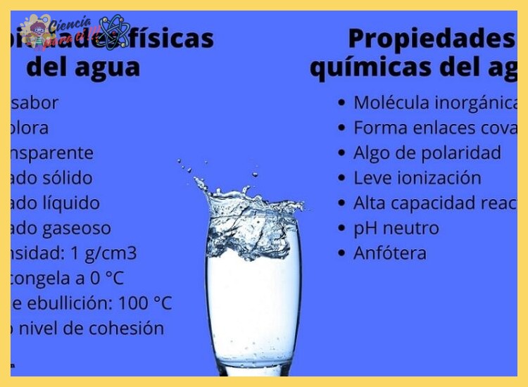 ¿Qué propiedades físicas básicas tiene el agua?